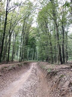 Photo de Hajni Obernyik le long du parcours