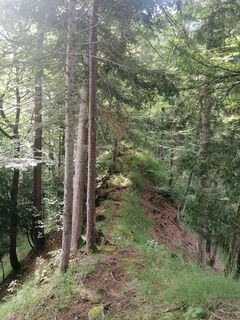 Photo de Turbinio le long du parcours