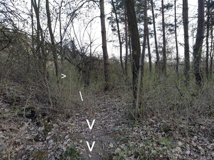 raus zum markierten Wanderweg