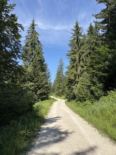 Foto von Heinz Sperl entlang der Tour