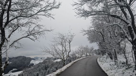 Fotografija s spletne strani Klaus Lehner na poti