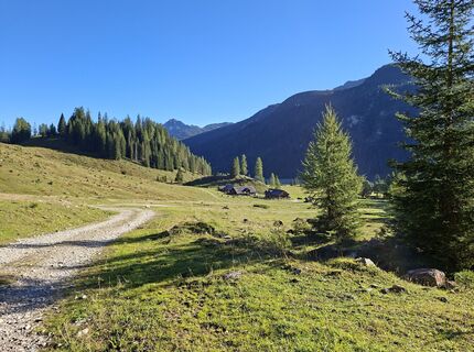 Photo de Silvia Hansmann le long du parcours