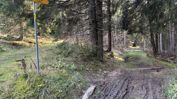 Foto von peter_oe entlang der Tour