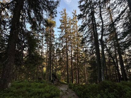 Foto von Vitalii Borozna entlang der Tour