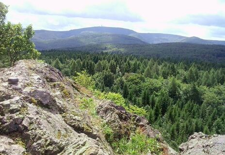 Ausblick vom Meisenstein Richtung Inselsberg