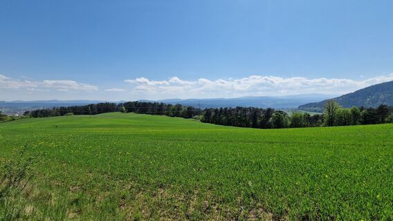 Photo de EP87 le long du parcours