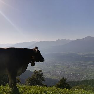 Ausblick in das Tal