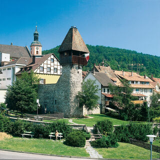 Storchenturm und Kirche Maria Himmelfahrt