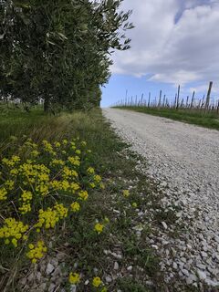 Фото с сайта Stefano Fontanel во время экскурсии
