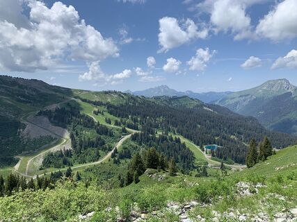 Fotó a Koen De Wit honlapról a túra során