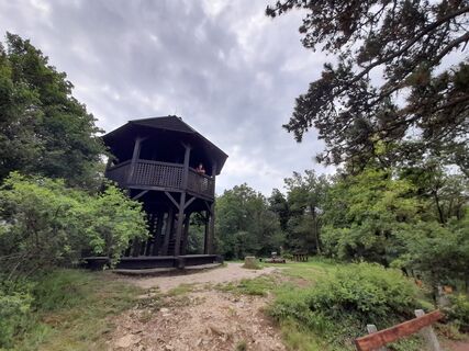 Foto von Georg Salhenegger entlang der Tour