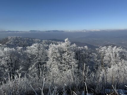 Fotografija s spletne strani Borut Korošec na poti