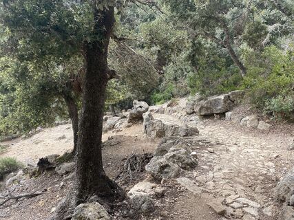 Foto från Rainer Pieper under resans gång