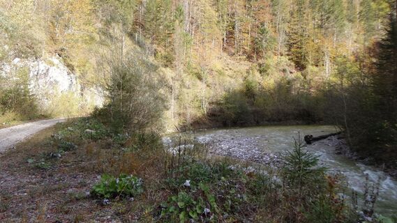 Großer Bach
