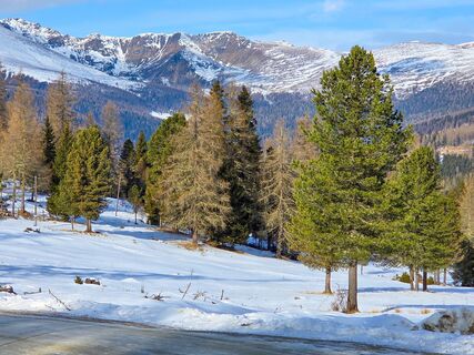 Fotografia z Melanie Paul na trase
