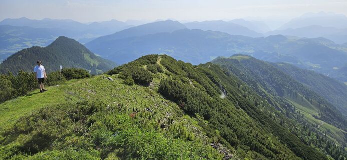 Foto da garrincha lungo il tour