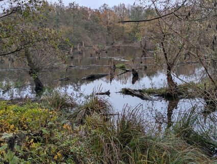 Foto de Matje Derks a lo largo del recorrido