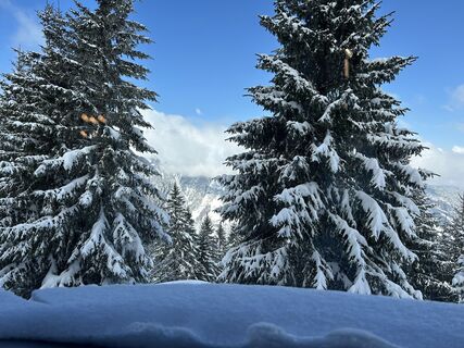 Photo de Felia Stallmeier le long du parcours