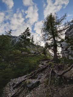 Foto von Eszter Horváth 6 entlang der Tour