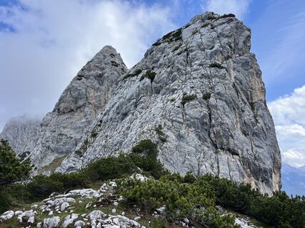 Foto von Heikoala entlang der Tour