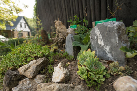 Mineralienpfad Gruiten