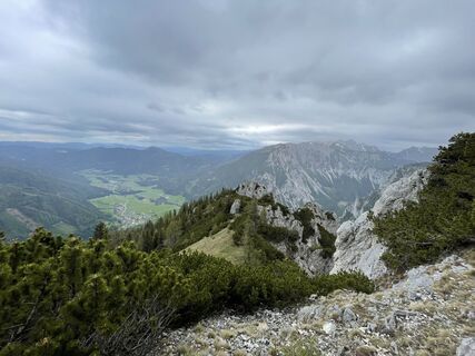 Fotografija s spletne strani Domi85 na poti