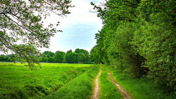 Die grüne Veerseniederung