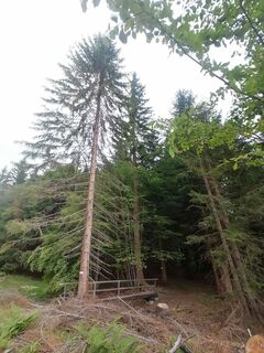 Photo de Sonce.S le long du parcours