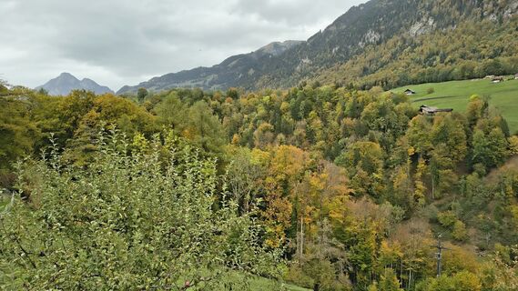 Foto von luyyy entlang der Tour