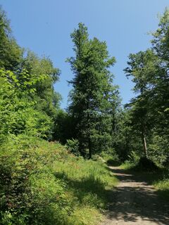 Foto från Michael Gschwandtner under resans gång