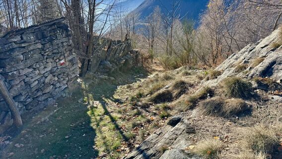 Fotografija s spletne strani peter_oe na poti