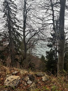 Foto von charlène bailles entlang der Tour