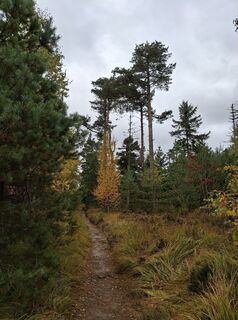 Fotografia z Christian Krebs na trase