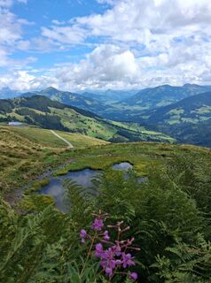 Foto von mtbler2 entlang der Tour