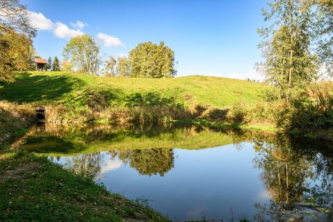 60er Roas in Grafendorf_Oststeiermark