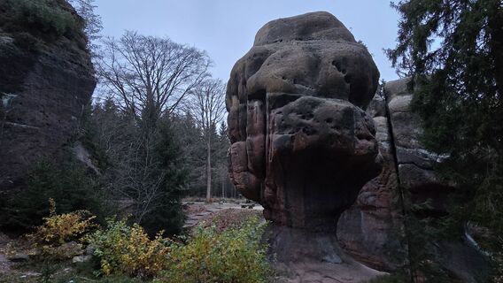 Fotografia z Katja Senkel na trase