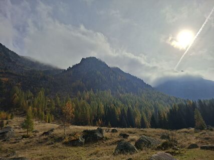 Fotografia z Domenico 5 na trase