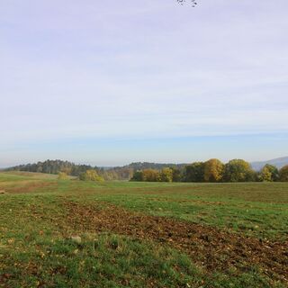 Ausblick von der Mosbacher Linde