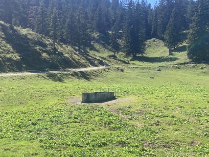 Foto fra Erik Tetteroo undervejs på turen