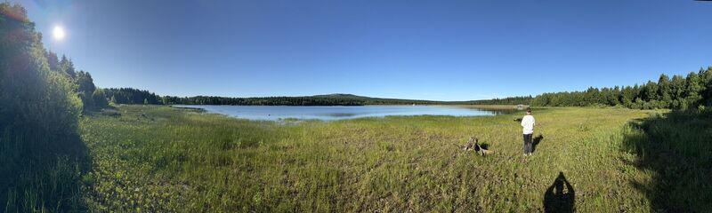 Fotografija s spletne strani Steffen Kiesel na poti
