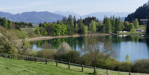 Blick auf den Kraiger See