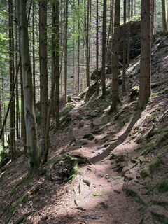 Photo de Frank Schmitz 1 le long du parcours
