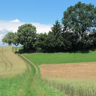 Wart - Schwarzwasser-Sense-Schluchtenweg Etappe 2