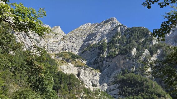 Fotografija s spletne strani Klementina Gartner na poti