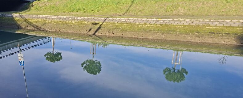 Fotografija s spletne strani Bob Moh na poti
