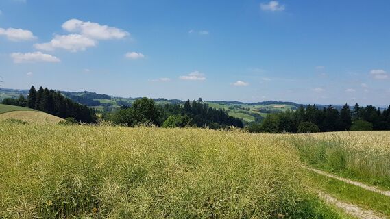 Unterwegs über den Vorberg