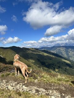 Foto von Alexander Geiger entlang der Tour