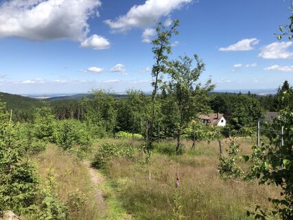 Blick Oberbärenburg