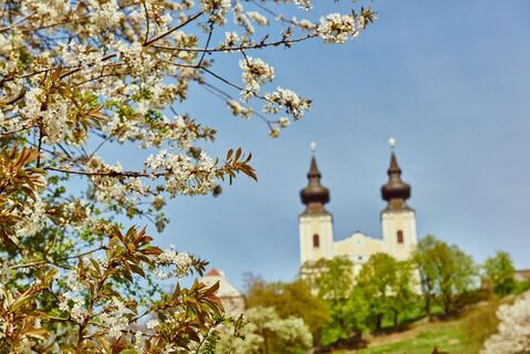 Basilika in Maria Taferl