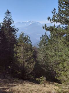 Fotografija s spletne strani Johann Neubauer na poti